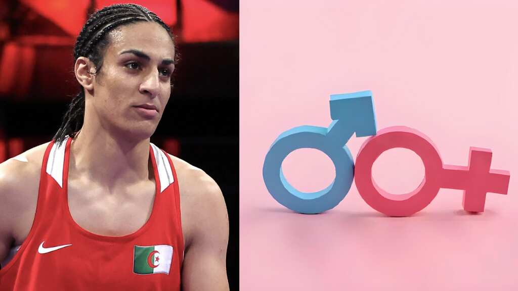Paris Games 2024, Imane Khelif Olympic saga: Beyond the sexism and phobia