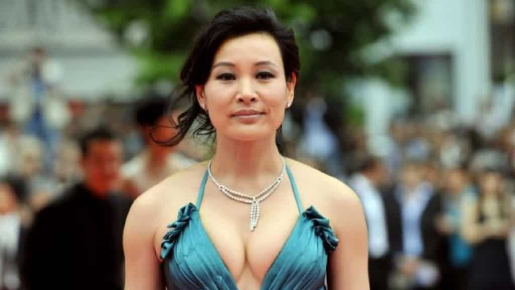 'I'm still here': Joan Chen plays thwarted immigrant mom in 'Didi'