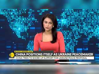 Russia-Ukraine war: China positions itself as Ukraine peacemaker