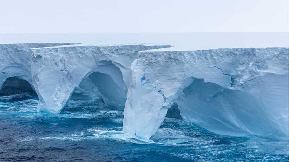 Massive iceberg, twice the size of Greater London, is NOT melting for last eight months. Here's why