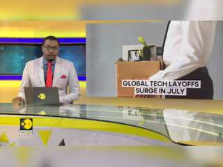 Tech sector layoffs in 2024: Tech layoffs exceed 124,000 in 2024 as industry struggles