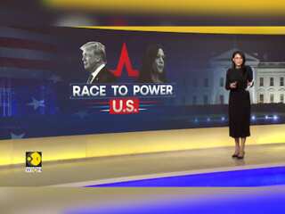 US elections: Kamala Harris vs Donald Trump, who will americans choose?