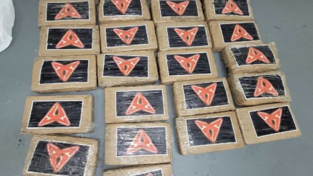 Hurricane Debby blows 25 packets of cocaine onto Florida beach