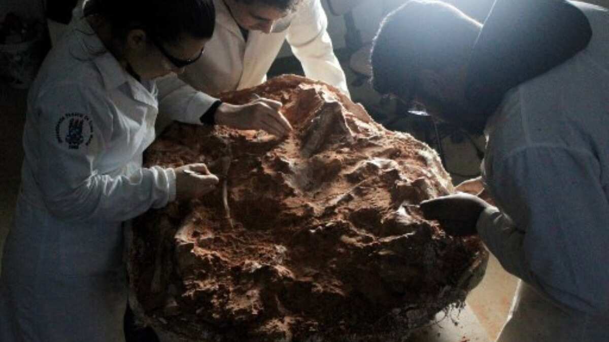 This dinosaur walked on Earth when just one big supercontinent existed This dinosaur walked on Earth when just one big supercontinent existed