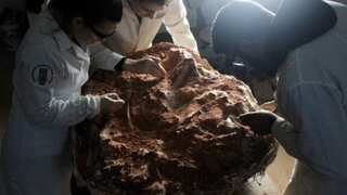 This dinosaur walked on Earth when just one big supercontinent existed