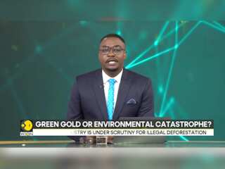 Illegal Avocado Farming: A Green Gold or Environmental Catastrophe?