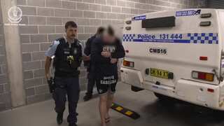 Australia: Man steals limited-edition 'Bluey' coins based on kids show worth $400,000