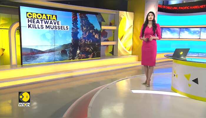 Mussel farmers worried about the future