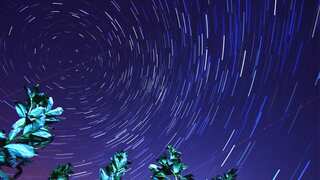 NASA issues Perseid meteor shower alert! Space agency asks Americans to flee cities