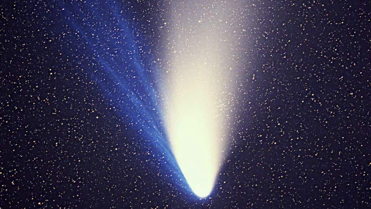 Comet Hale–Bopp