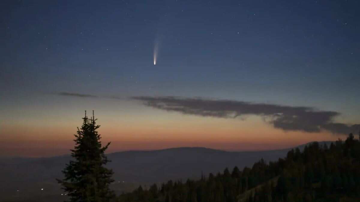 Comet NEOWISE