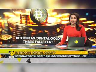Bitcoin as 'digital gold' thesis falls flat