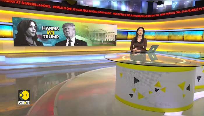 US Elections 2024: What's the mood in swing states?