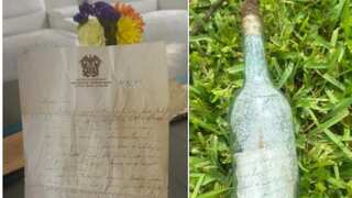 Hidden WWII message found in glass bottle while cleaning Hurricane Debby debris in Florida