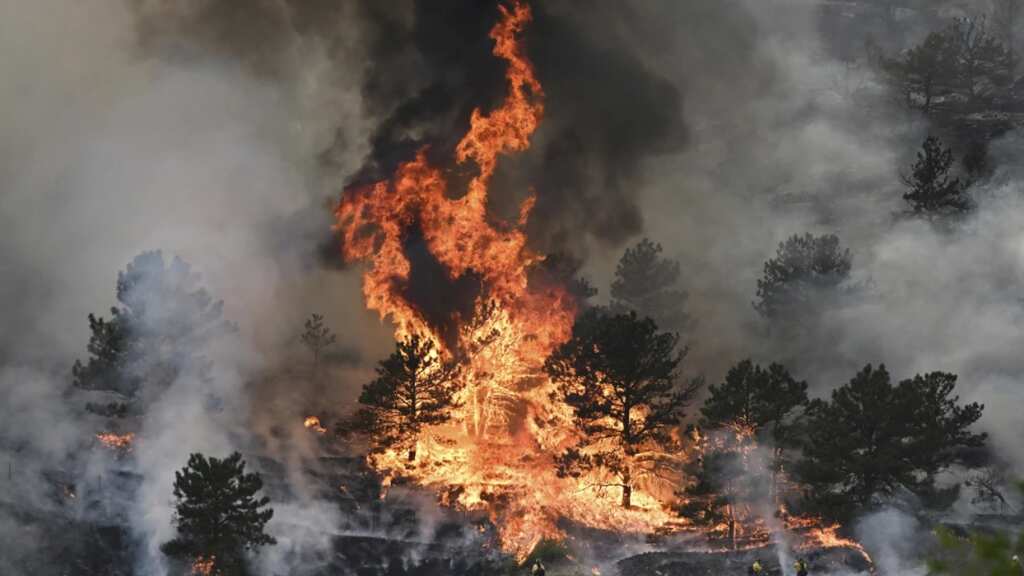 Colorado wildfire: Blaze that destroyed 27 homes was human-caused, say officials