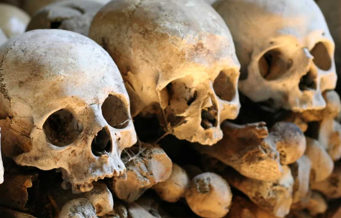 4,000 dead bodies stolen and resold in China, police probing massive crime ring