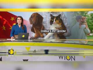 China’s pets to outnumber kids by 2030