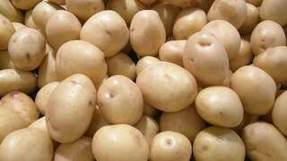 Are potatoes not unhealthy? New research reveals they may work magic for heart health