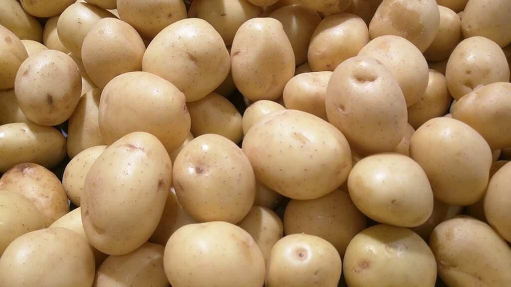 Are potatoes not unhealthy? New research reveals they may work magic for heart health