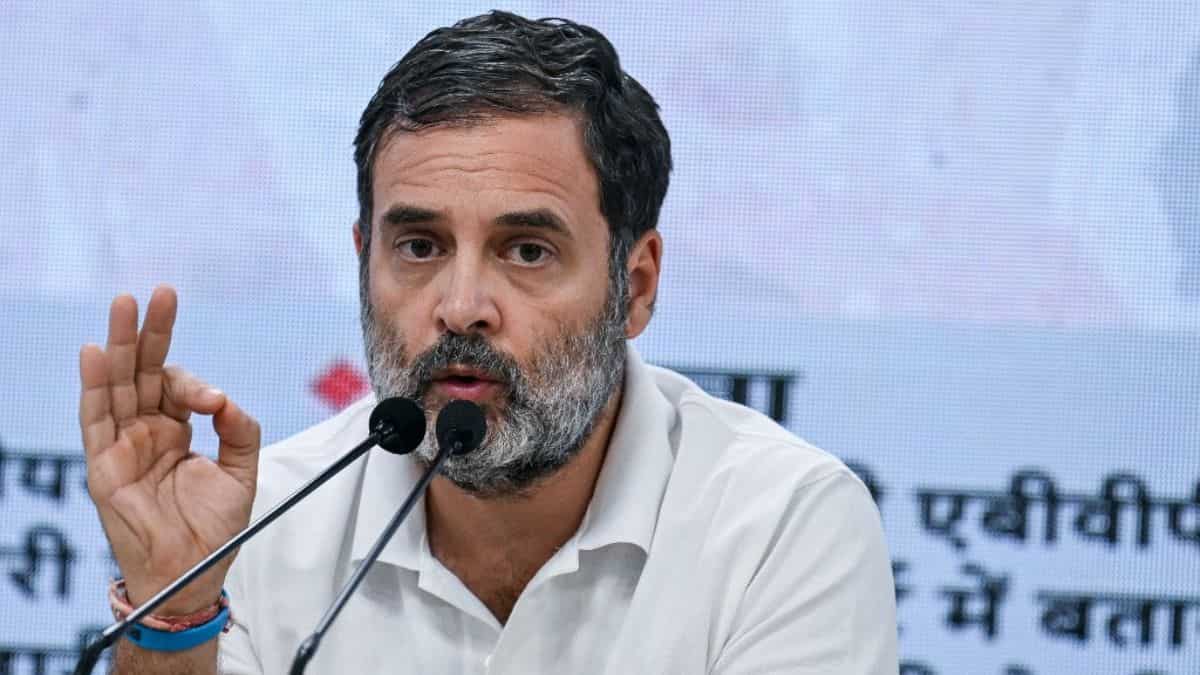 'No tribal, OBC women in Miss India': Rahul Gandhi's bizarre example for caste census demand