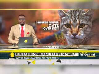 China's pet boom: Why Chinese millennials are picking pets over raising kids