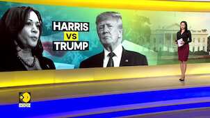 US Election 2024: Harris leads Trump in 3 battleground states in NYT/Siena College polls