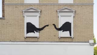 Banksy unveils animals on the streets of London as many ponder over its meaning