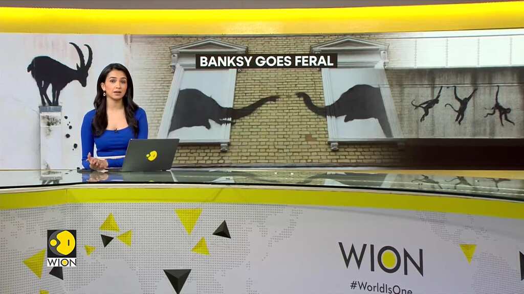Elusive artist Banksy unleashes animals on London