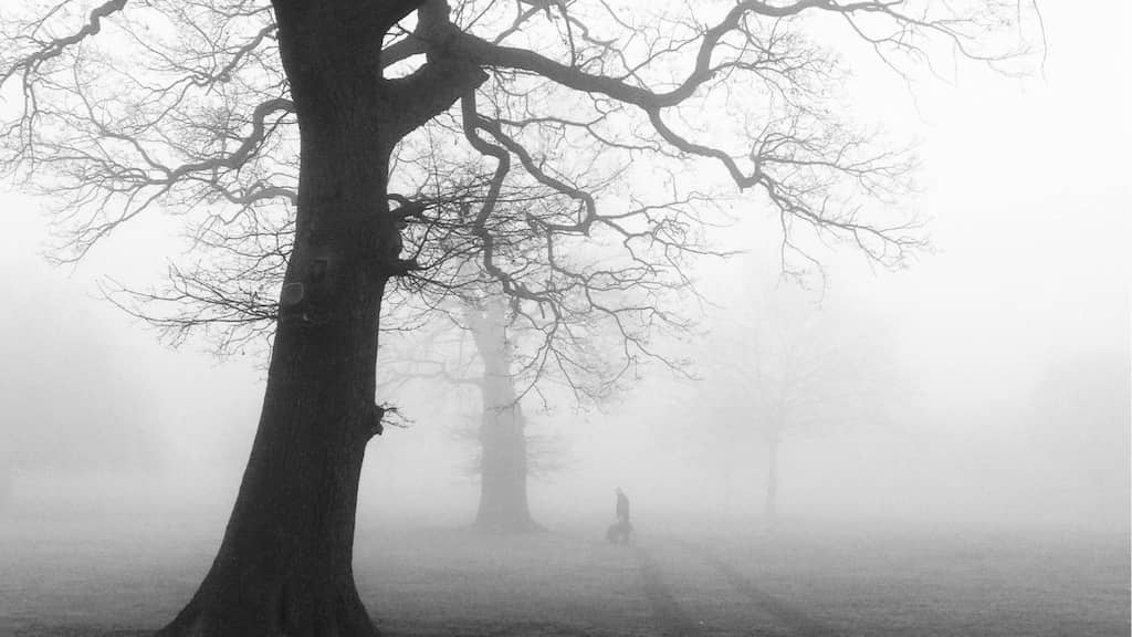 Volcanic eruption in 536 spewed so much ash that Sun didn't shine for 18 months