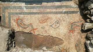 A Roman aquarium? Archaeologists find a 2,000-year-old mosaic with depiction of fish, dolphins