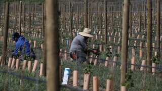 UN report slams Canada’s human rights record, says Ottawa fails to protect vulnerable workers