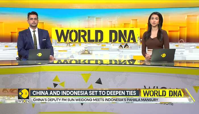 China's Deputy FM Sun Weidong meets Indonesia's Pahala Mansury