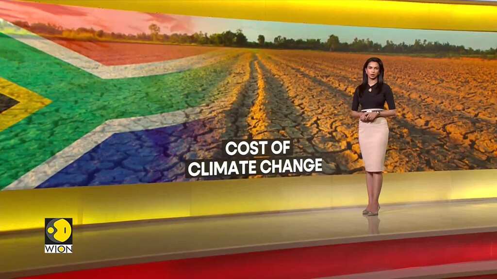 Southern Africa faces devastating drought