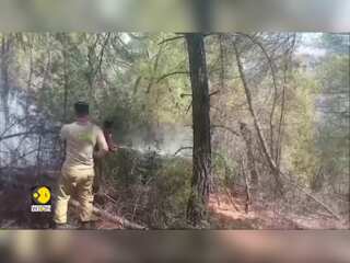 Turkiye battles Wildfires: Planes, helicopters deployed to douse blaze