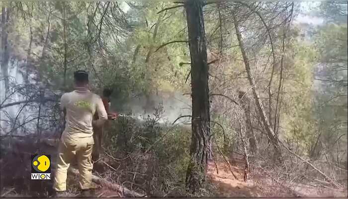 Turkiye battles Wildfires: Planes, helicopters deployed to douse blaze
