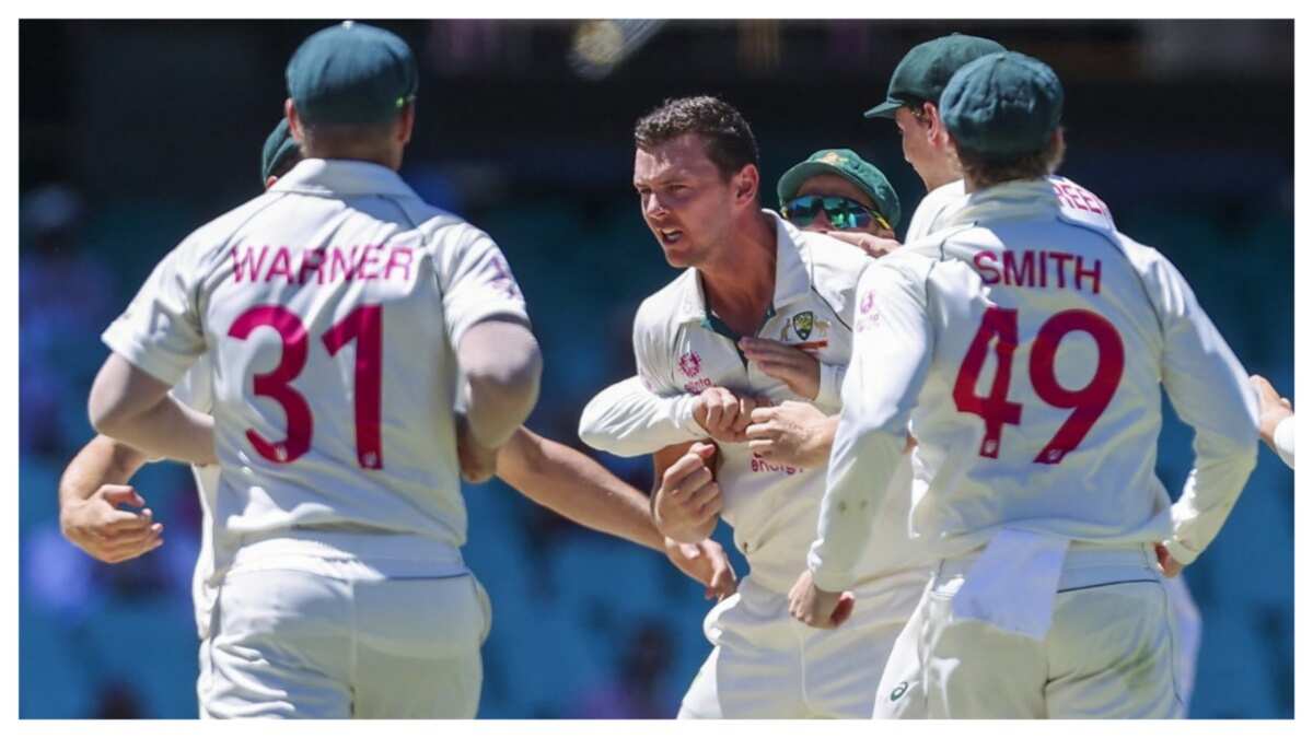 We bowled them out for 36 and thought...: Hazlewood claims Australia desperate to end losing streak vs India We bowled them out for 36 and thought...: Hazlewood claims Australia desperate to end losing streak vs India