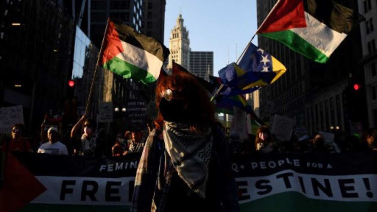 Pro-Palestine protests may overshadow Kamala Harris's moment at DNC