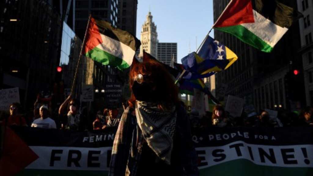 Pro-Palestine protests may overshadow Kamala Harris's moment at DNC