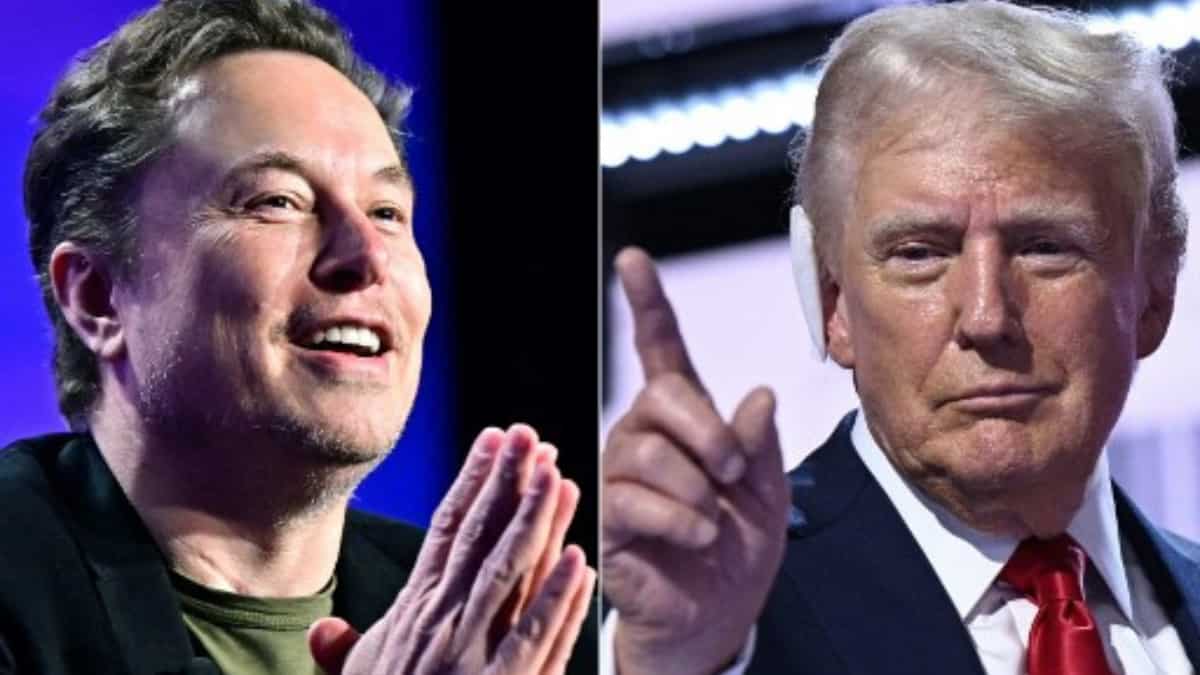 Elon Musk responds after Donald Trump offers Tesla CEO cabinet spot in his administration