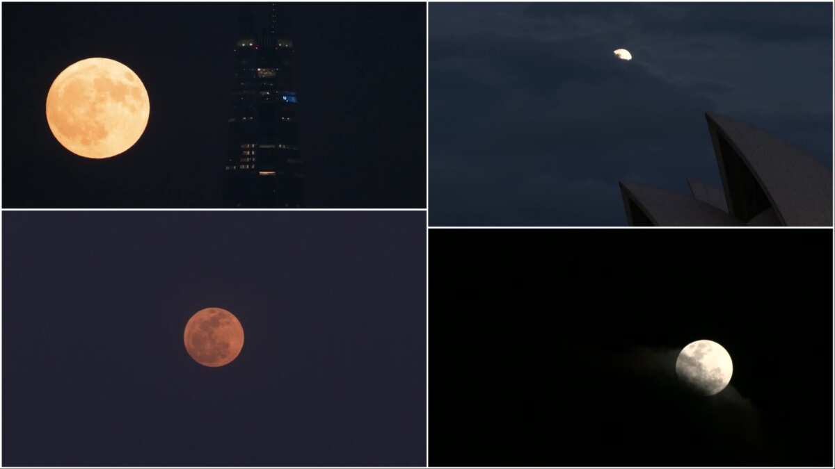 Rare astronomical event where a supermoon and a blue moon coincided ...