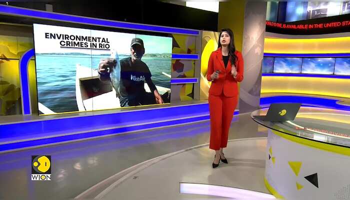 Rio fisherman fight environmental crime