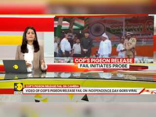 Viral Video Shows Pigeon Fail at Independence Day Event, Echoes TV Series Scene