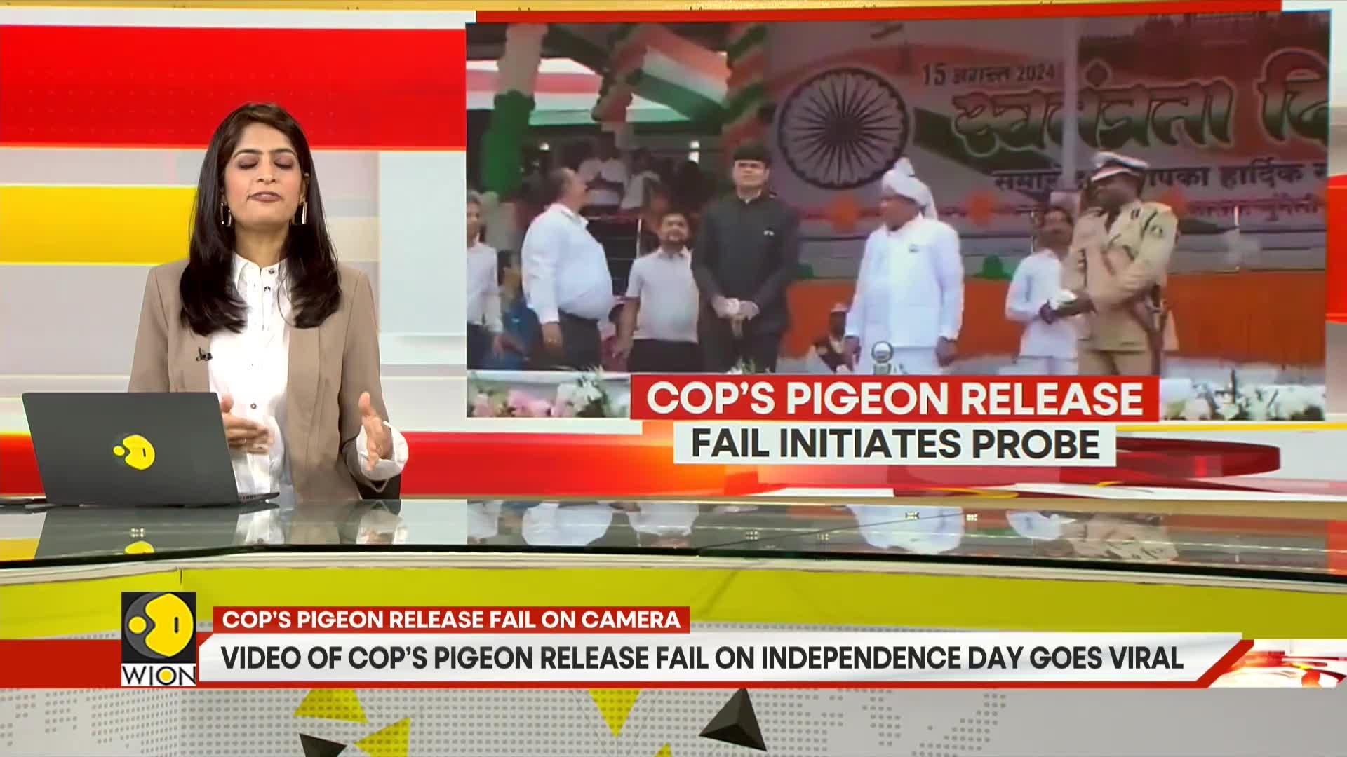 Viral Video Shows Pigeon Fail at Independence Day Event, Echoes TV Series Scene