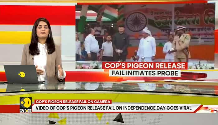 Viral Video Shows Pigeon Fail at Independence Day Event, Echoes TV Series Scene