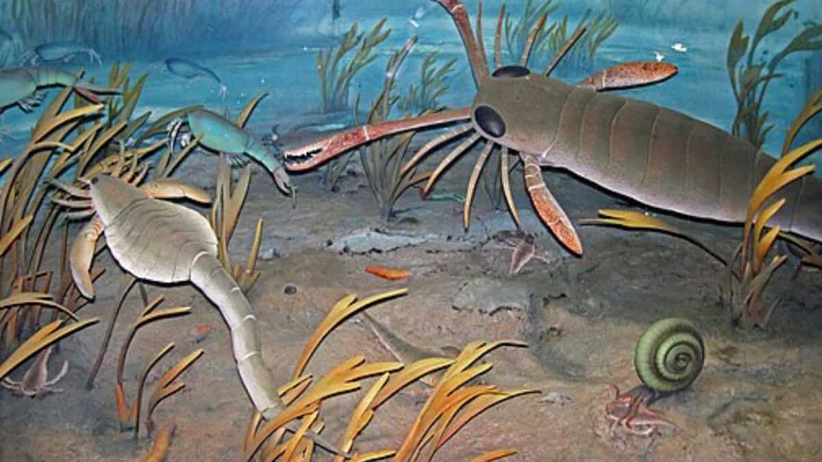 Giant sea scorpions, some as big as humans, lived 444 million years ago