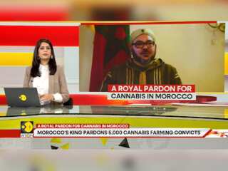 Morocco's King Pardons 5,000 Cannabis Farming Convicts