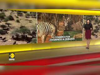 Conservation Awareness in Zimbabwe: Former poacher is spreading awareness on conservation