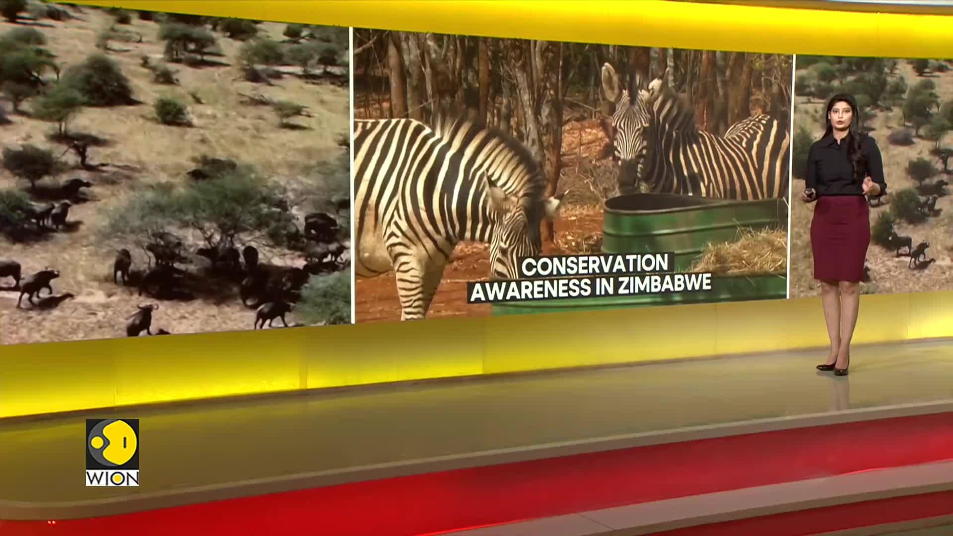 Conservation Awareness in Zimbabwe: Former poacher is spreading awareness on conservation