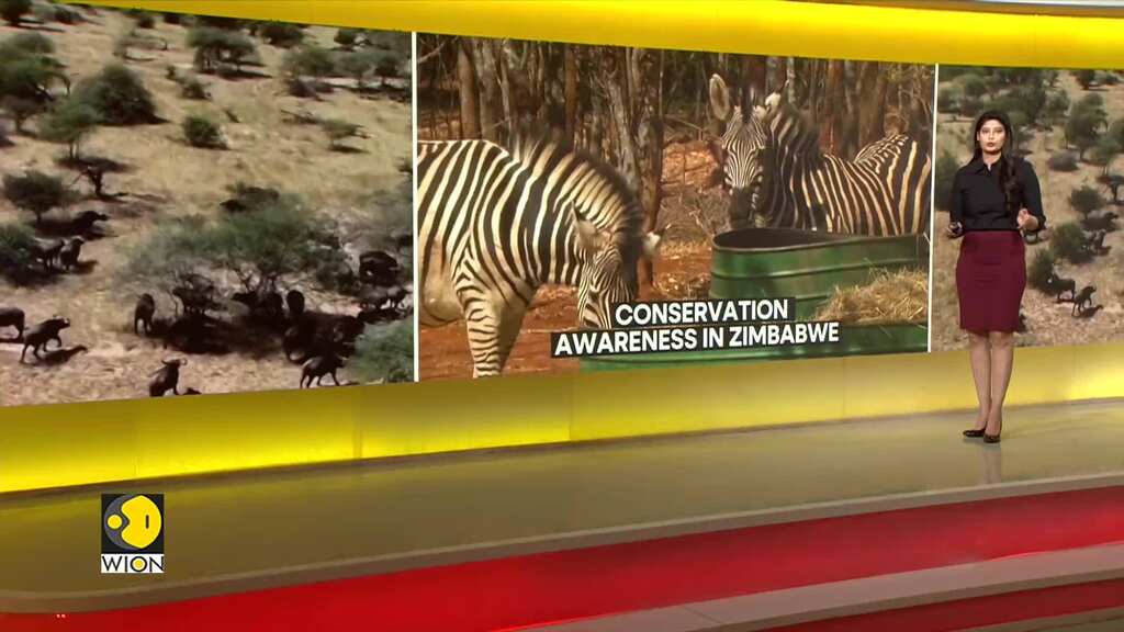 Conservation Awareness in Zimbabwe: Former poacher is spreading awareness on conservation