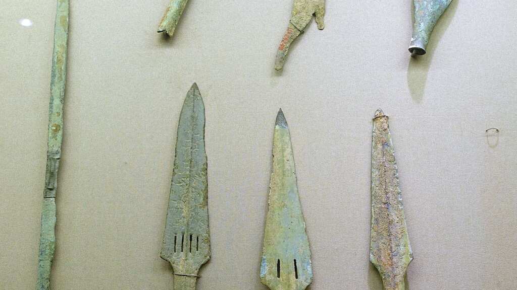 Humans planted pikes and did not throw spears to kill mammoths in Ice Age: Study